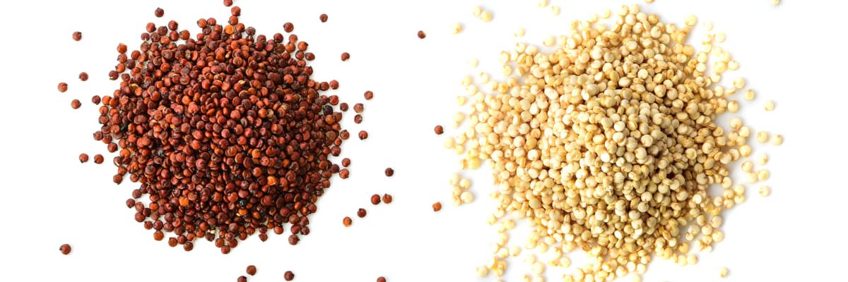 seminte quinoa